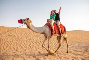 Tourists enjoying camel ride in Dubai desert during golden hour safari