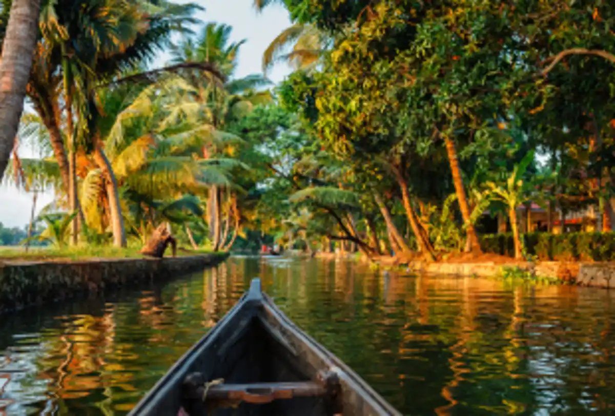 Traditional boat ride through tropical backwaters with palm trees and calm water in Kerala