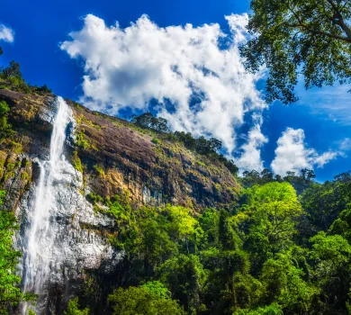 Tall waterfall cascading down lush tropical forest cliff
