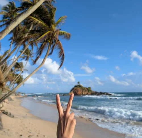 Hand showing peace sign on tropical beach with palm trees