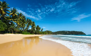 Pristine tropical beach with palm trees and turquoise ocean